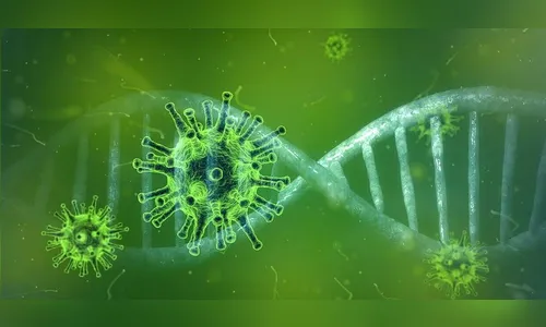 Arapongas divulga os dados semanais da Covid-19