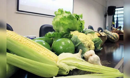 Arapongas investe em aprimoramento da agricultura orgânica