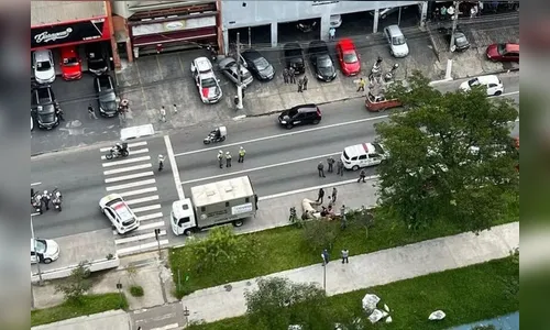 Boi corre, derruba pessoas e é perseguido por policiais