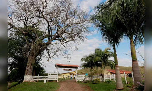 Calendário de caminhadas é retomado em Apucarana