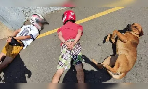 Cão deita ao lado de suspeitos durante abordagem no Paraná