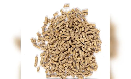 Cerca de 400 quilos de ração são furtados em Bom Sucesso