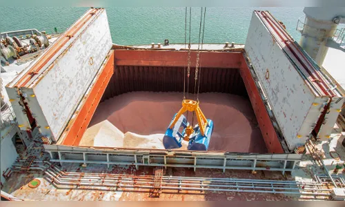 Cooperativas se mostram preocupadas com mercado de insumos