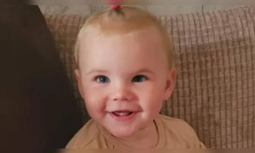 Criança de 1 ano e 5 meses morre após ser atacada por cão