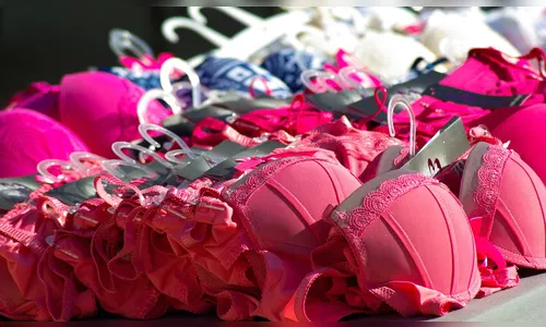 Diversas lingeries são furtadas de carro em Califórnia