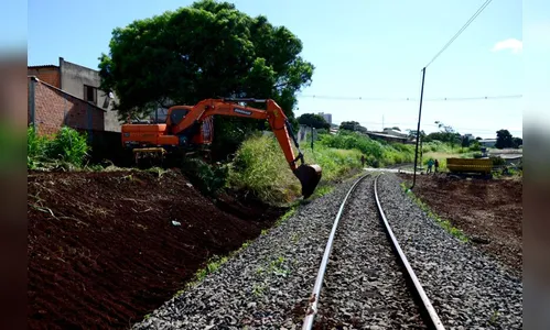 Concessionária diz que roçagem segue cronograma interno