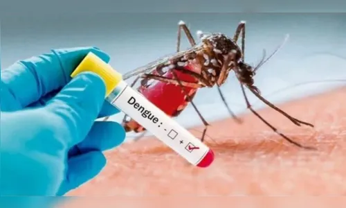 Homem de 68 anos morre vítima de dengue em Arapongas