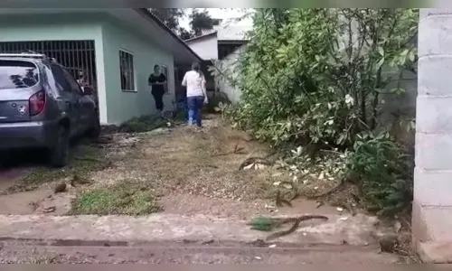 Homem morre ao ser atingido por galho arrancado por ventania