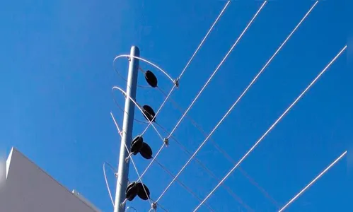 Ladrão corta cerca elétrica e arromba casa em Ivaiporã