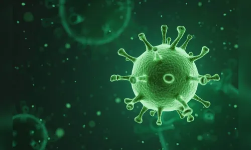 Londrina confirma mais um óbito e 348 novos casos de Covid