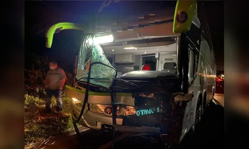 Motorista fica ferido após atropelar cavalo na PR-444