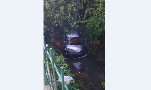 Motorista perde controle da direção e cai em córrego