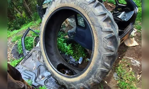 Municípios promovem ação contra a dengue neste sábado (12)