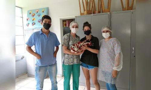 Novo Itacolomi inicia castração de animais nesta terça (15)