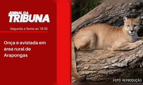 Onça é avistada em área rural de Arapongas