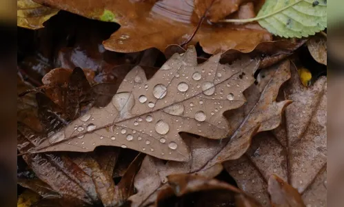 Outono começa chuvoso e com temperaturas agradáveis no PR