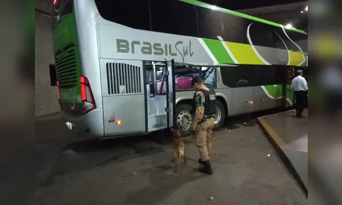 PM realiza operação na rodoviária de Apucarana; veja