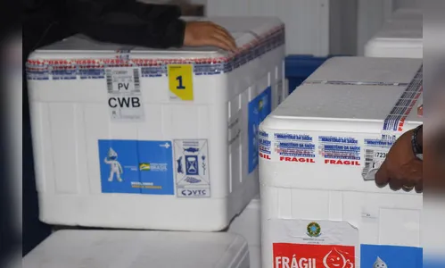 PR recebe novas doses pediátricas e distribui 24 mil vacinas