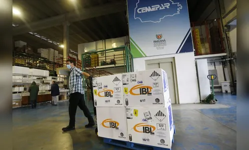 Paraná recebe mais 120 mil vacinas contra a Covid-19
