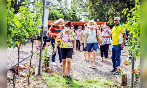 Passeio na Serra de Apucarana marca nova etapa do Viver +80