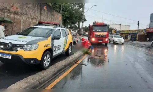 Pedestre morre atacado por pitbull após portão abrir com vento