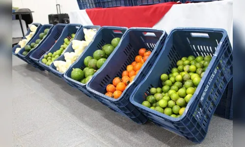 População aprova merenda servida nas escolas de Apucarana