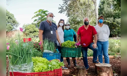 Programa Horta Solidária amplia doações para instituições