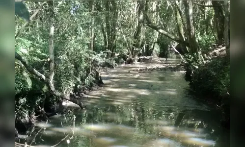 Sanepar fará diagnóstico em 14 bacias do Paraná