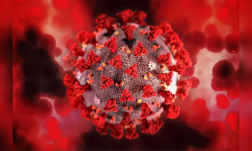 Saúde registra mais 2.778 casos e nove óbitos pela Covid-19