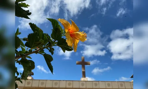 Sepultamentos desta terça-feira (22) de Apucarana