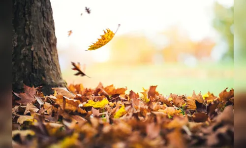 Simepar prevê outono mais frio e seco em 2022; assista