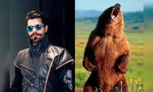 Susto: Alok divulga vídeo em que foi perseguido por urso