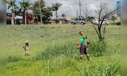 Terceirizada faz limpeza de lotes baldios em Apucarana