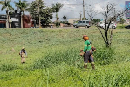 Terceirizada faz limpeza de lotes baldios em Apucarana