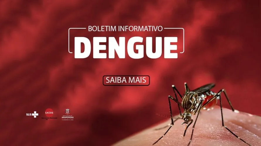 Arapongas confirma 1.144 casos positivos de dengue e 1 óbito