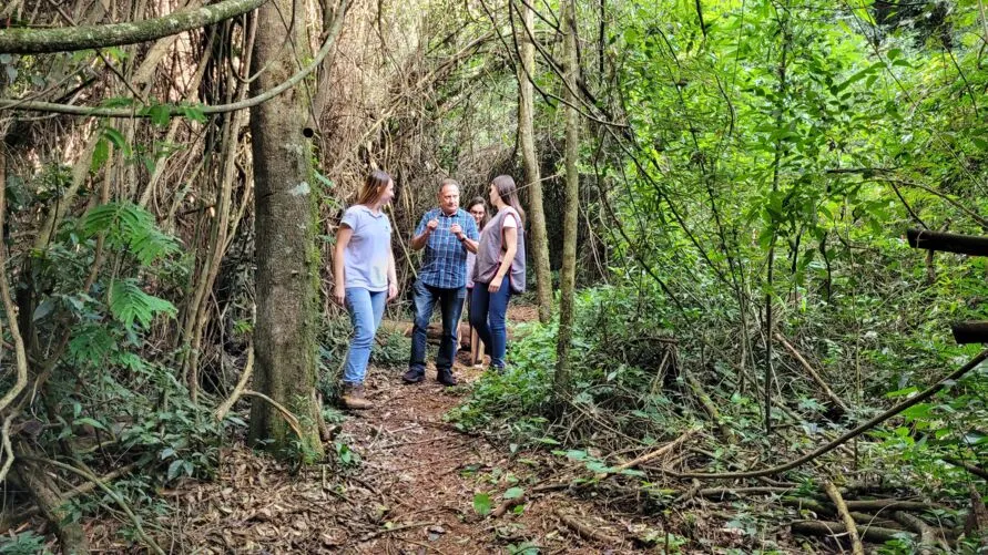 Em Ivaiporã, a administração municipal preserva as duas Unidades de Conservação – Parque Natural Municipal Mata do Placídio e Estação Ecológica Faian.