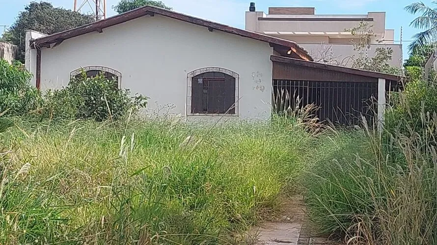 Mato alto de terreno em Apucarana preocupa vizinhos