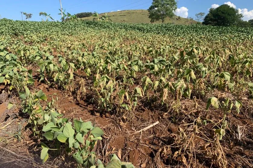 No final de 2021 e início deste ano, 62 municípios cadastraram ocorrências relatando danos e prejuízos ocasionados pela contínua diminuição das chuvas