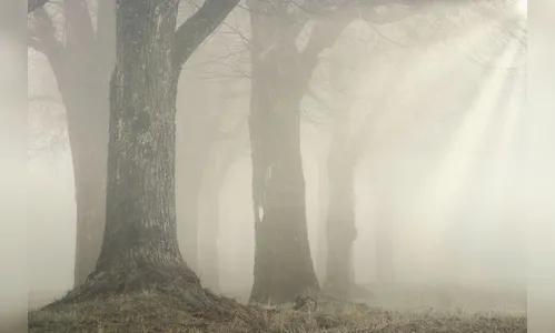 Após chuva, frio chega em Apucarana e região; veja