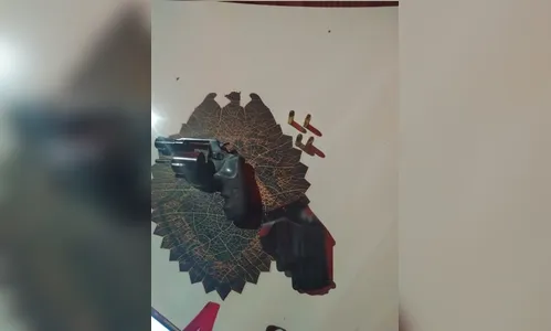 Após denúncias de disparos, PM apreende arma em Rio Bom