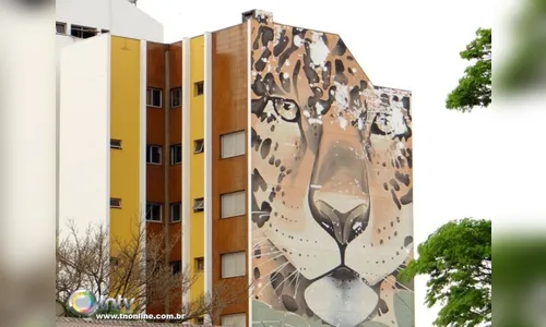 Apucarana abre licitação para revitalizar pintura de prédio