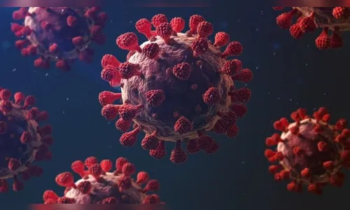 Apucarana zera número de mortes por Covid-19 em abril