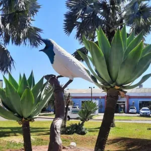 Arapongas finaliza as treze esculturas de pássaros