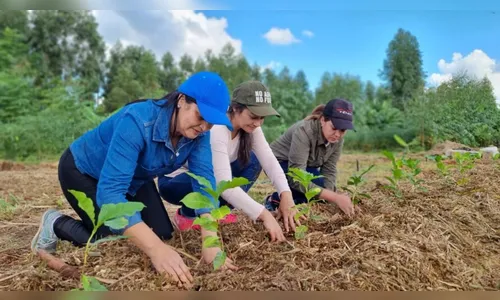 Arapongas participa de Curso de Introdução à Agrofloresta