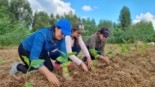 Arapongas participa de Curso de Introdução à Agrofloresta