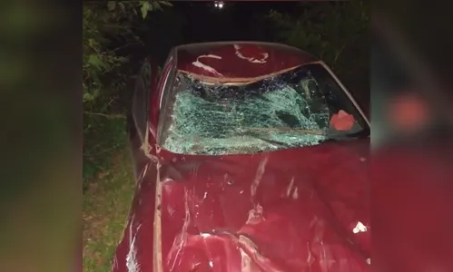 Boi morre após ser atropelado por carro em rodovia do PR