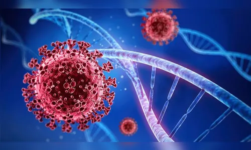 Brasil registra 77 mortes em 24h; Média fica abaixo de 200  pelo 2º dia