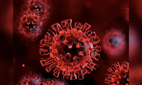 Brasil tem 205 óbitos pela Covid-19 em 24 horas