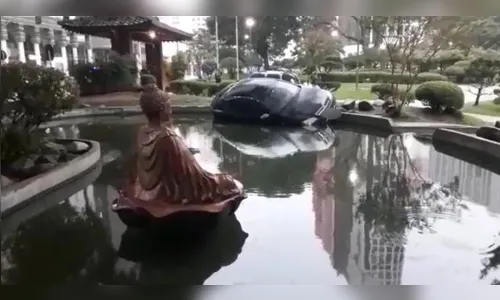 Carro invade Praça do Japão e cai em tanque de peixes