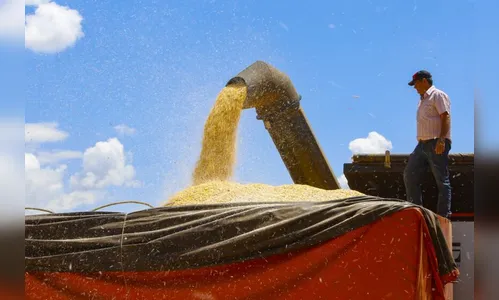 Paraná espera safra de inverno 8% maior que a do ano passado